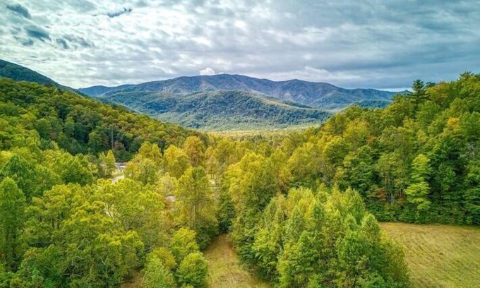 Cosby Cottage | Rustic Retreat-Pickleball Court, Creek, WIFI, Mountain Views, Starting at $79"