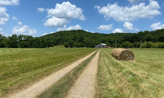 Sumner County Other | Rustic Tennessee Farmhouse on 100 acres of land