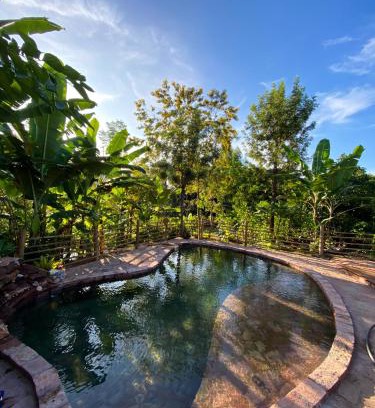 Ibicoara Other | Sítio Monte Alegre