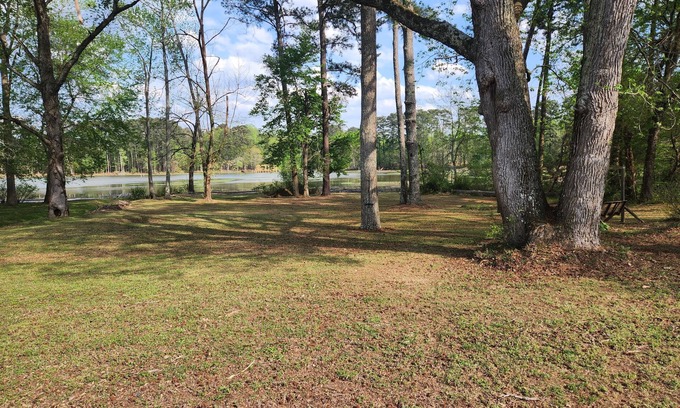 Scottsboro House | S2. Lakeside home in Historic Scottsboro
