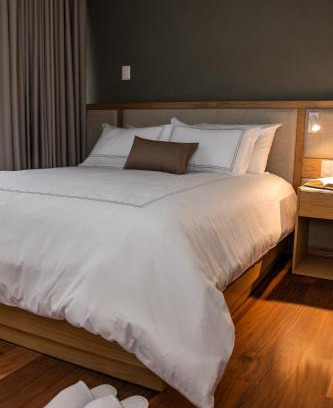 San Luis Potosi Hotel | S22 Hotel & Suites