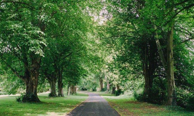 Playden House | Saltcote Place Rye