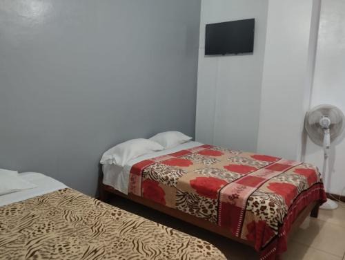 Nazca House | San José II