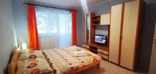 Sovata Apartment | Sandra Apartman
