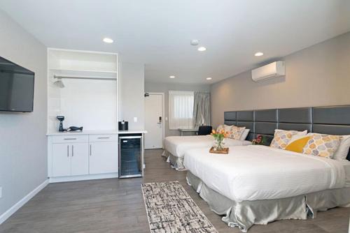 La Jolla Hotel | Sands Of La Jolla