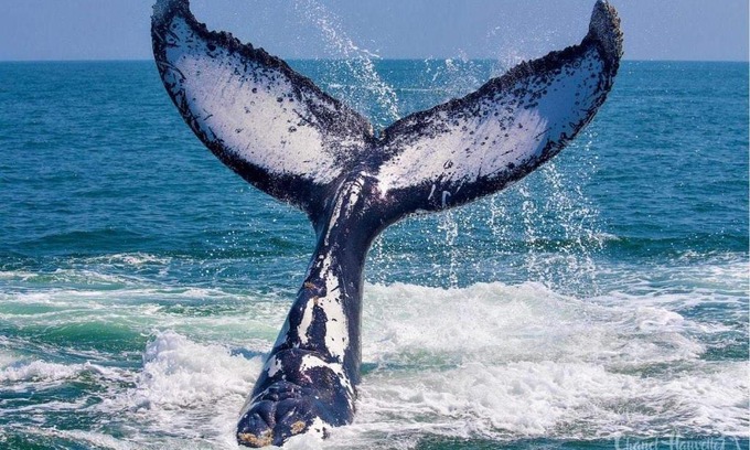 Pearly Beach Apartment | Sandy Feet Self Catering Accommodation