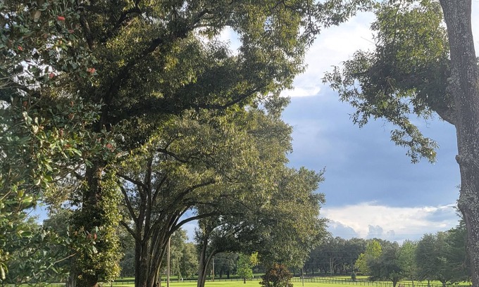 Fellowship Apartment | Sapling Studio @ Little Tree Farm