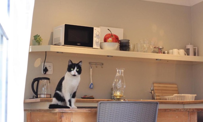 George House | Sarah's Place- Heatherlands,George