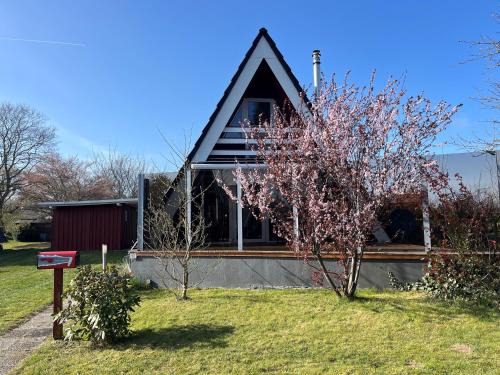 Borgwedel House | Schleimöwe