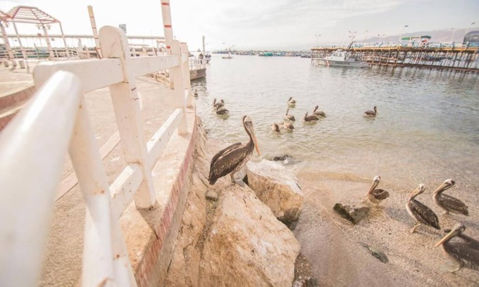 Ilo Hotel | Señorio Chiribaya