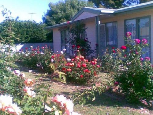 Port Vincent House | Sea Rose - Port Vincent