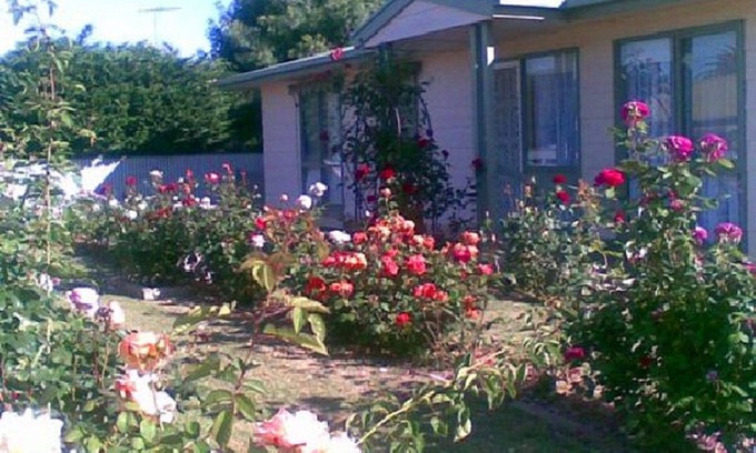 Port Vincent House | Sea Rose ~ Short walk to the beach and shops! Off Peak Special!