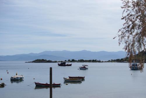 Volos House | Seaside Resort