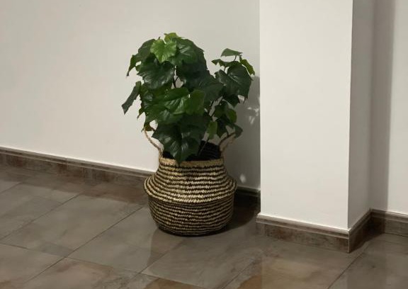 Pozo Izquierda Apartment | Seifía 2A