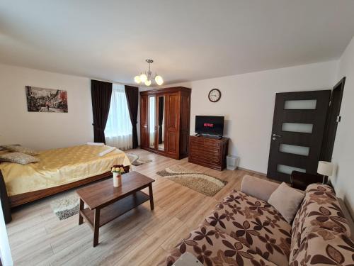 Tirgu Mures Apartment | Select City Center