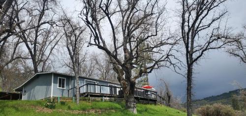 Badger Resort | Sequoia Resort