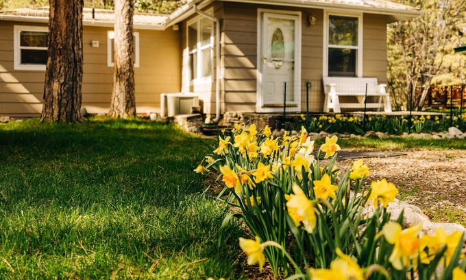 Saddlestring House | Serene Creek Side Cottage Retreat in Story Wyoming