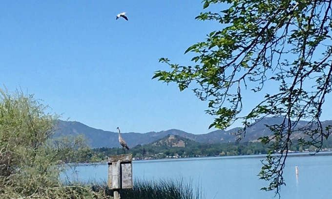 Lakeport House | Serene lake house in Lands End