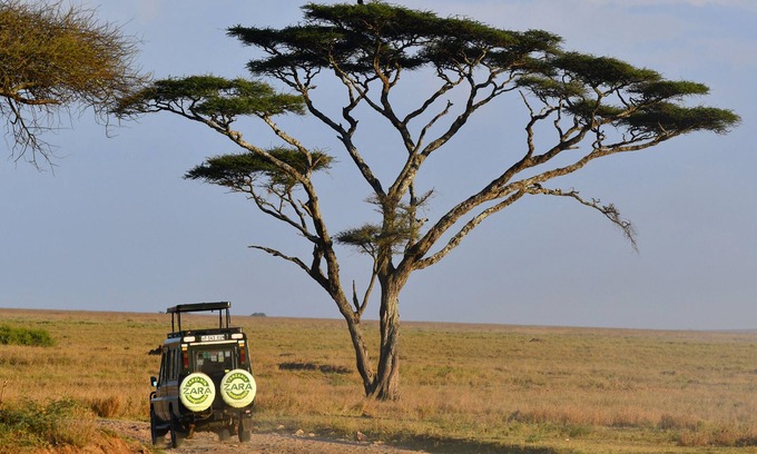 Serengeti National Park Other | Serengeti Wildebeest Camp