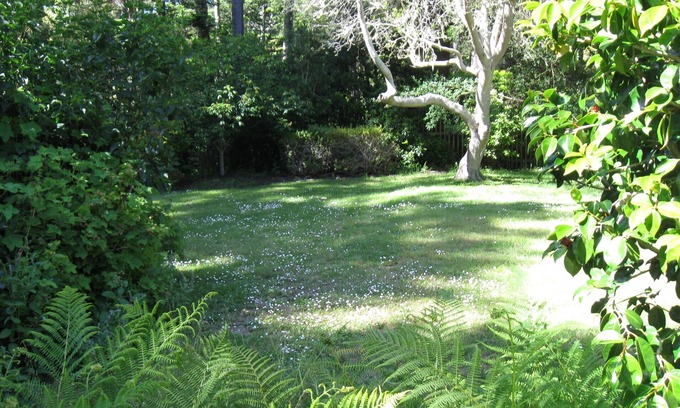 Mendocino House | Serenity In The Gulch Only 5 Minutes From Historic Mendocino Village