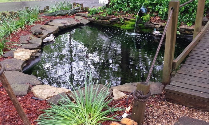 Branson West Hotel | Shady Acre Inn and Suites