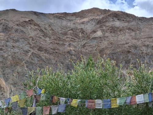 Tingmosgang Bed & Breakfast | Shanglang Guest House Ladakh by LexStays