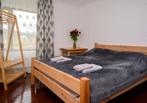 Iltsi Apartment | Sharm karpaty