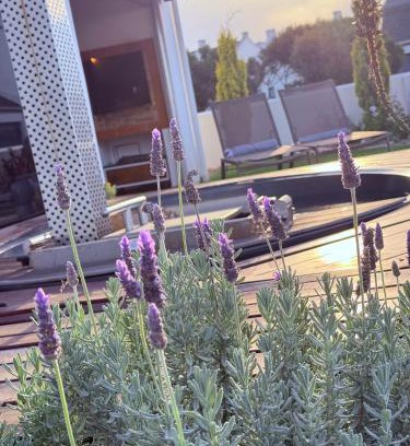 Shelley Point House | Shelley Shores