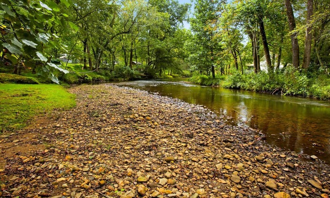 Hayesville Cabin | Shooting Creek Cottage Walk n' Creek Fronatge! Close to Lake Chatuge! Fish WiFi