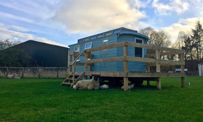 Hawick Cabin | Showman's Hut @ Westcote