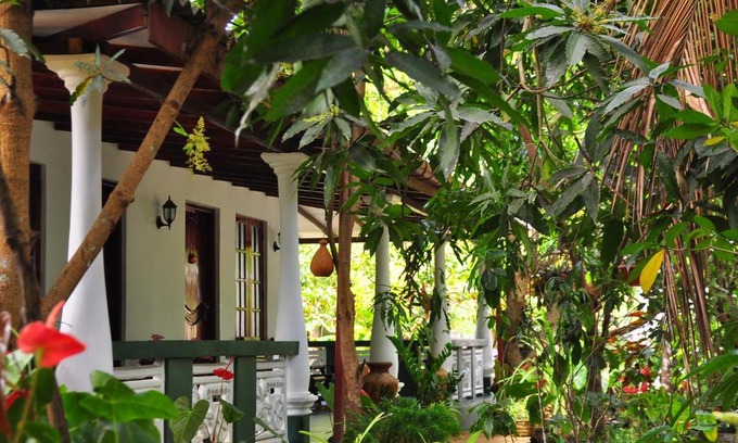 Sigiriya House | Sigiri Rock Side Home Stay