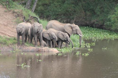 Malelane Ski Chalet | Simbini Sunset Cottage