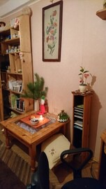 Dniprovs'kyi District Apartment | Singl room in Киев