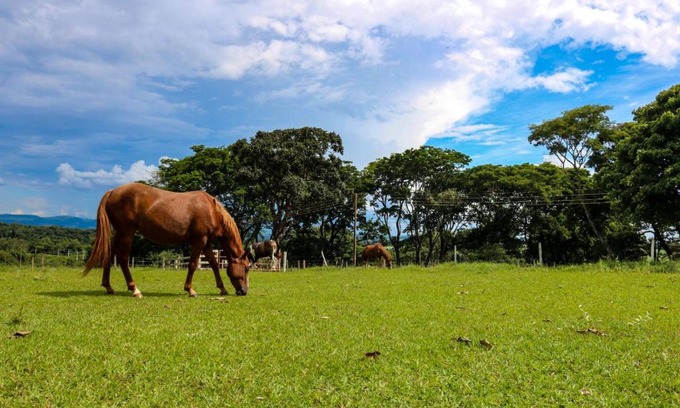 Altinopolis House | Sitio SMC - 15 min do centro de Altinópolis