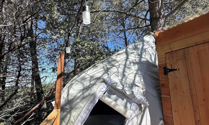 Dunlap Apartment | Sky Pod #2/Tree Tent 2