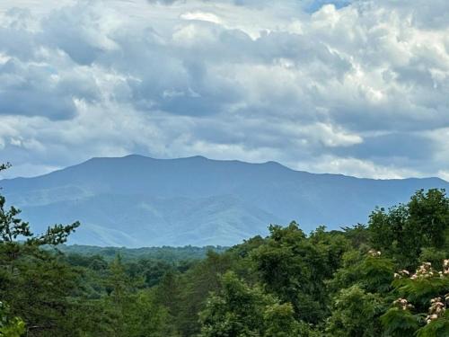 Sevierville House | Sleeps 22, mountain view, game room, pet friendly!