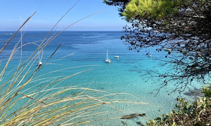 Son Macia Apartment | Small, cozy. App. Petit der FincaOase- rental -ONLY ADULD