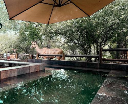 Marloth Park Villa | Sounds of Kruger Safari Villa