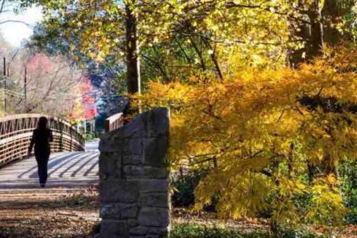 Sumter County House | Southern Charm in Buckhead