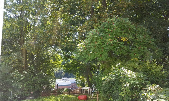 Wuppertal Apartment | - SP Hotels - Apartment am Nützenberg