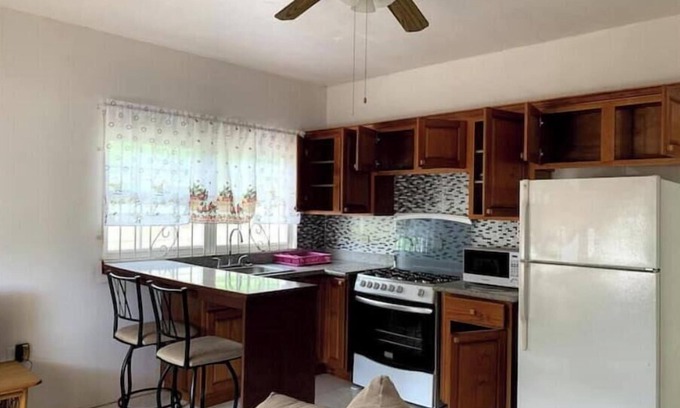 Monkey Hill Apartment | Spacious 2-bedroom apartment with AC, WiFi in St. Peters
