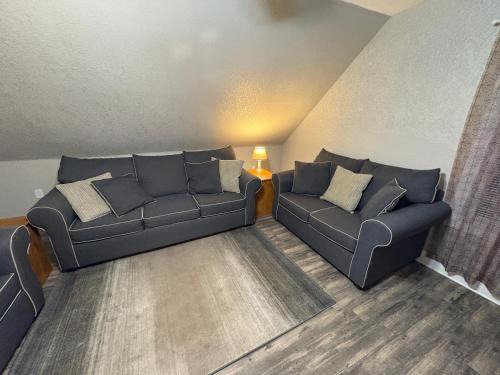 Wabash Apartment | Spacious Rustic Downtown Market St 1 Bedroom Apt, Sleeps Up to 5, Steps to Honeywell & Eagles Theatre