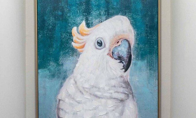 Sunset Beach House | Spacious Treasure Island House With Heated Pool Located Only 2 Minutes From The Beach