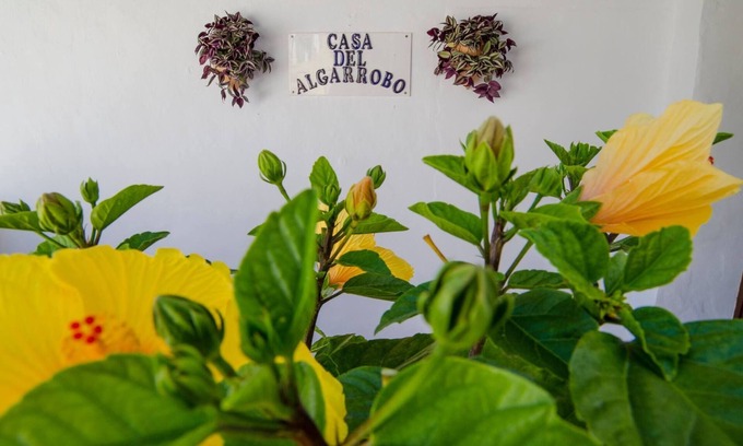 Canillas de Aceituno Villa | Spectacular villa South of Spain sleeps 10