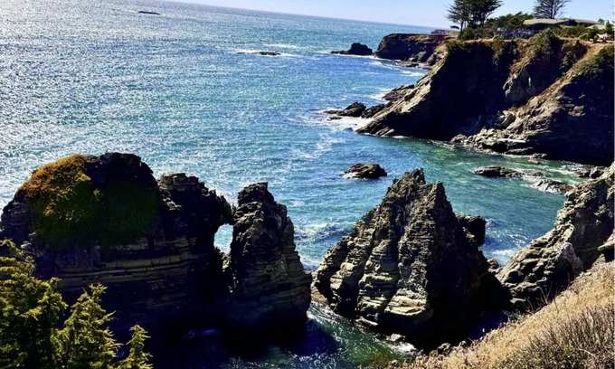 Gualala House | Spectacular Oceanfront, massive fenced yard, with Spa Mendocino Coast in Gualala