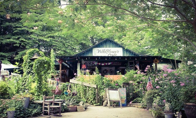 Menlo Cabin | Spectacular Views! Private 3 Bd/2 Ba on Lookout Mt, Lrg Hot Tub, FP, Pets Ok!