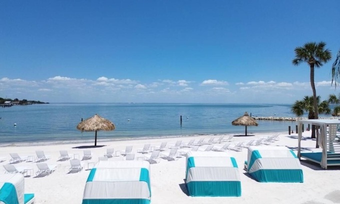 Pinellas Point House | Splash and Relax! Private Beach, Onsite Pool, Pet-friendly Accommodation