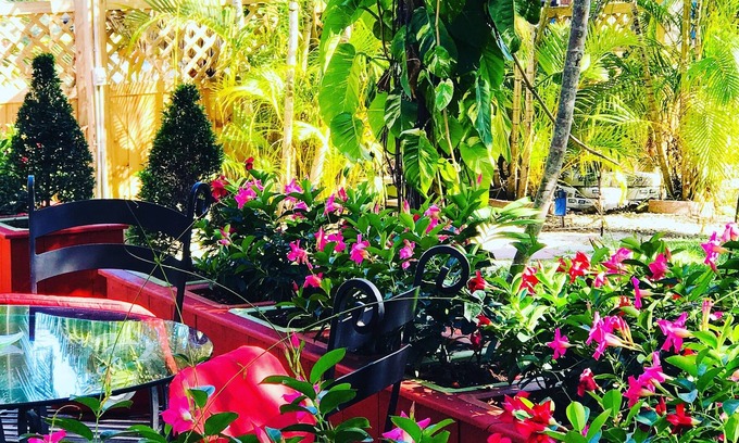 Overtown House | SPRING GARDEN OASIS ~ Just 5 minutes away from everything in Miami ~