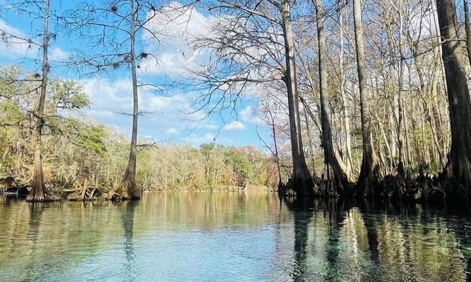 Newberry House | SPRING HAVEN RETREAT! A BEUTIFULL ANDSPOTLESS!