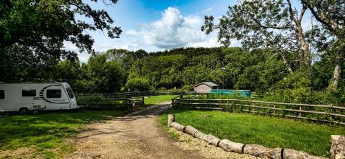 Newport Other | Springfield Oaks campsite